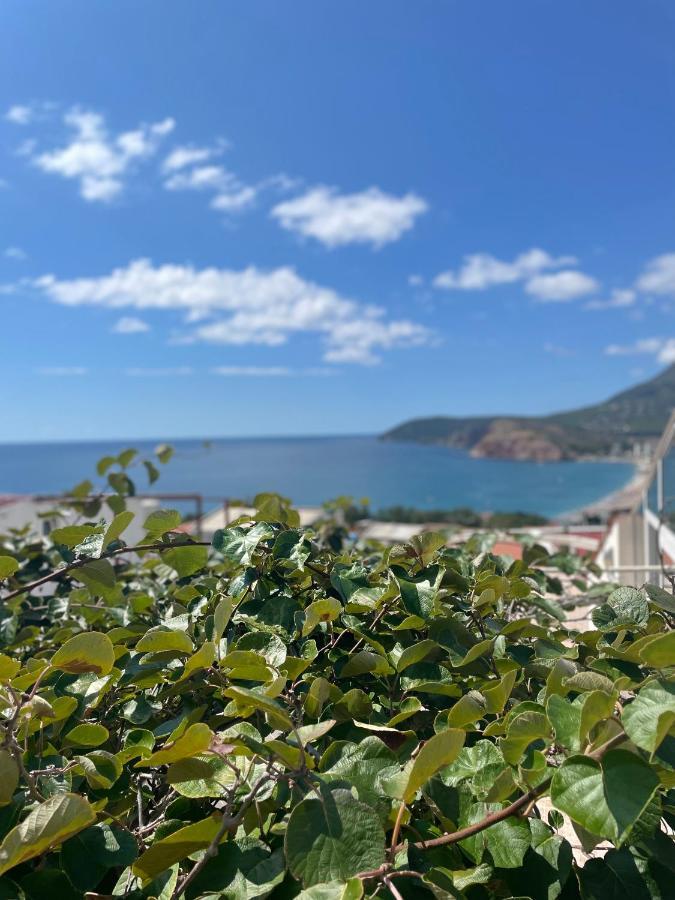 Apartments Moracanin Sutomore Εξωτερικό φωτογραφία